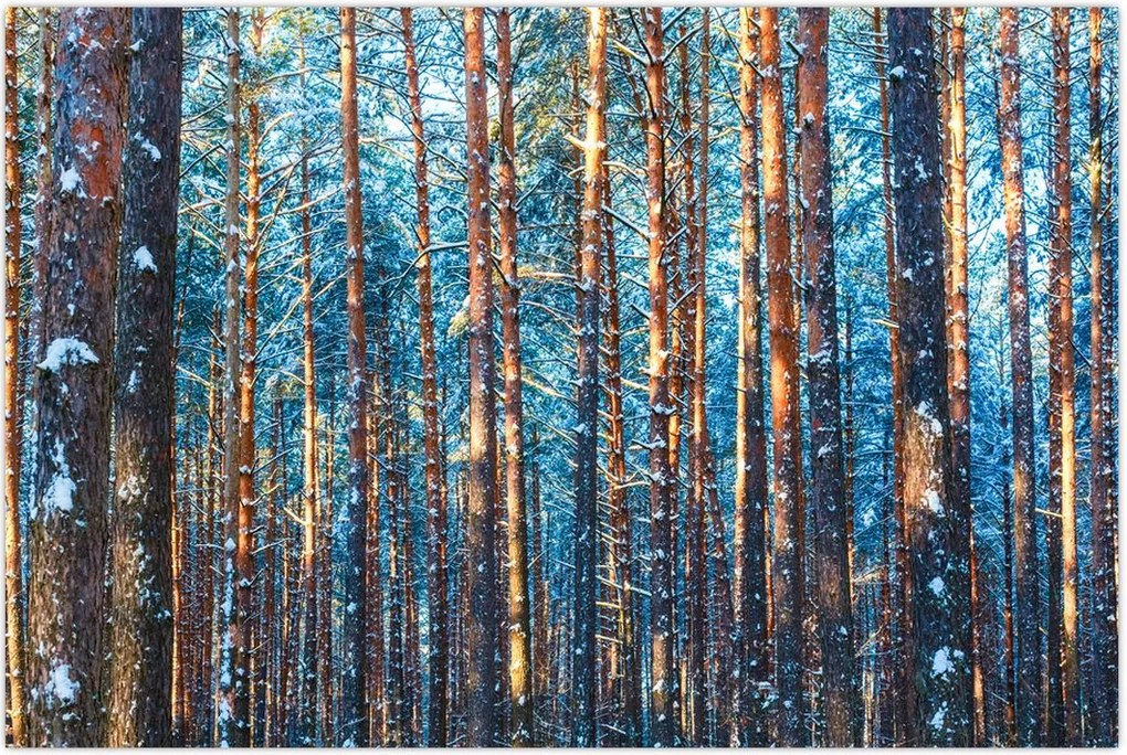 Tablou - Pădurea iarna (90x60 cm)