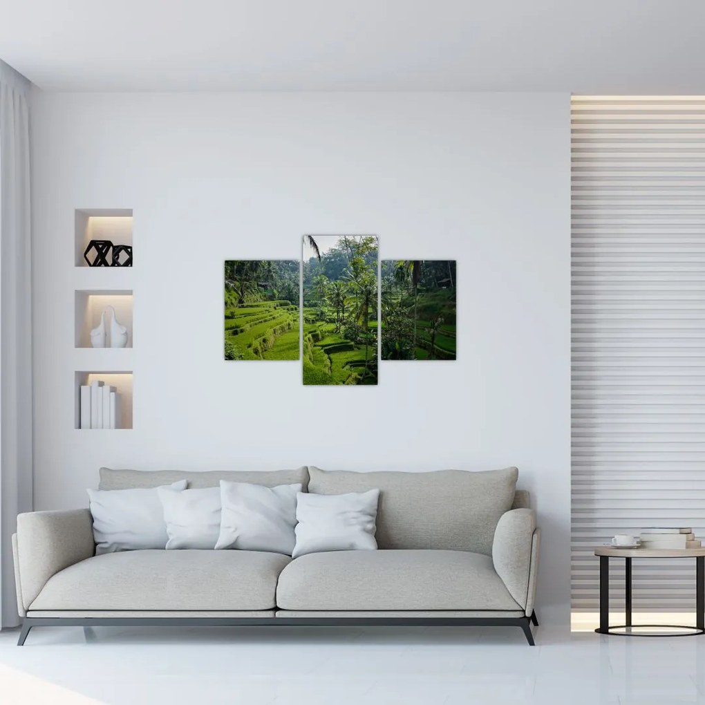 Tablou cu terasele cu orez Tegalalang, Bali (90x60 cm)