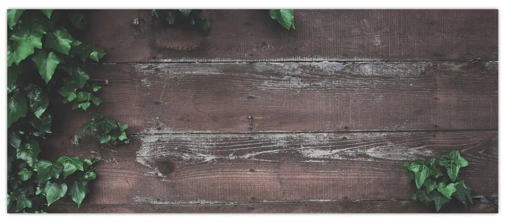 Tablou - Lederă (120x50 cm)
