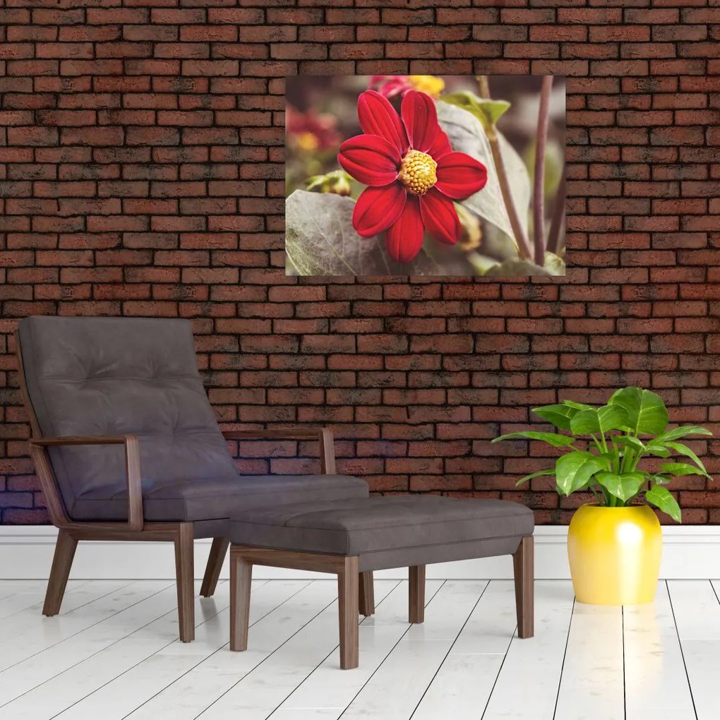 Tablou cu floare (70x50 cm)