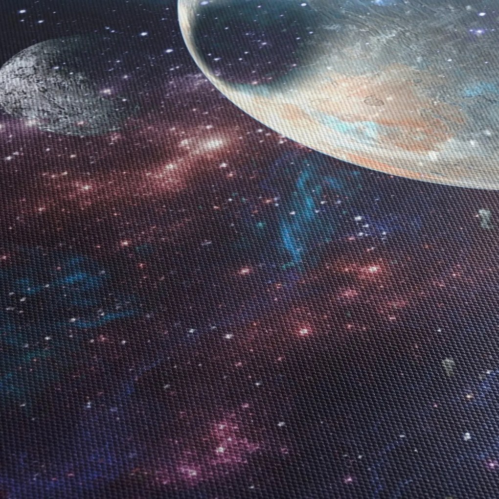 Tablou cu cosmos (120x50 cm)