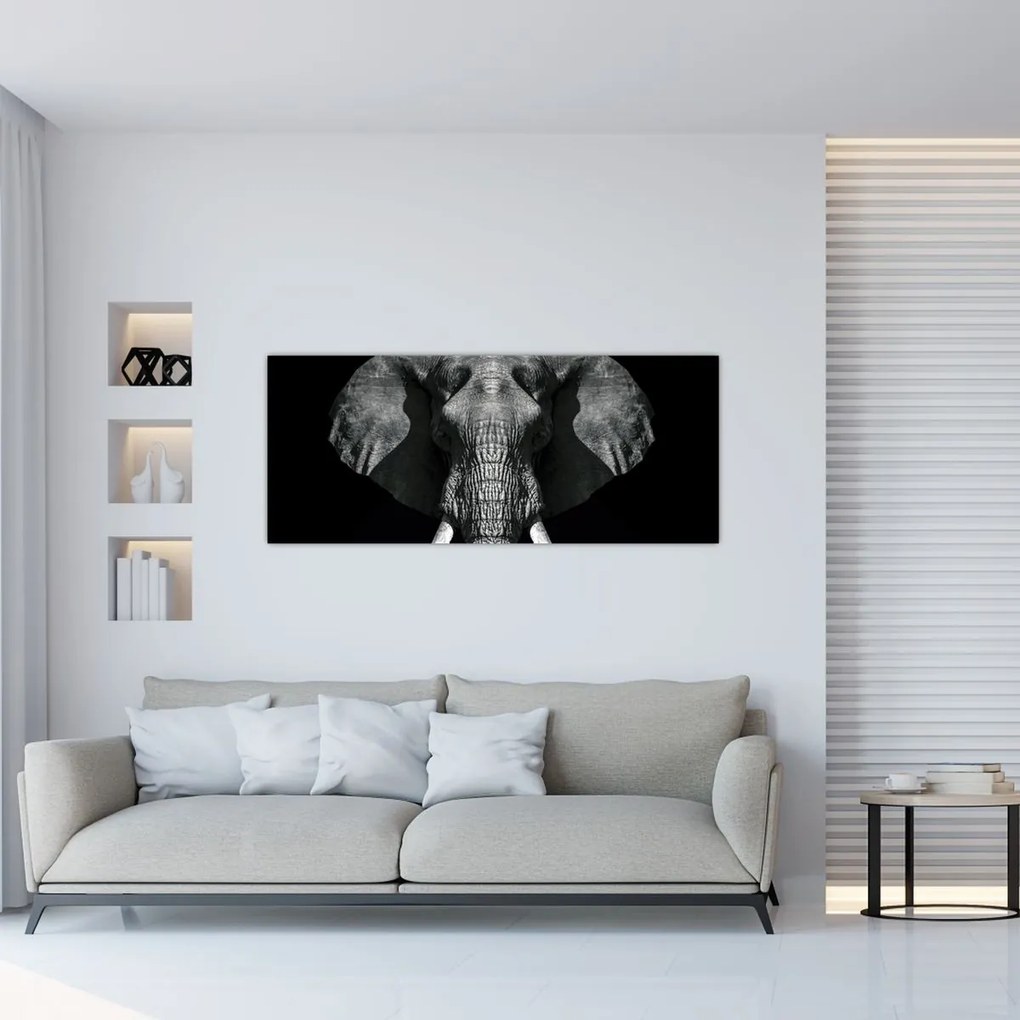 Tablou - Elefant pe fundal negru (120x50 cm)