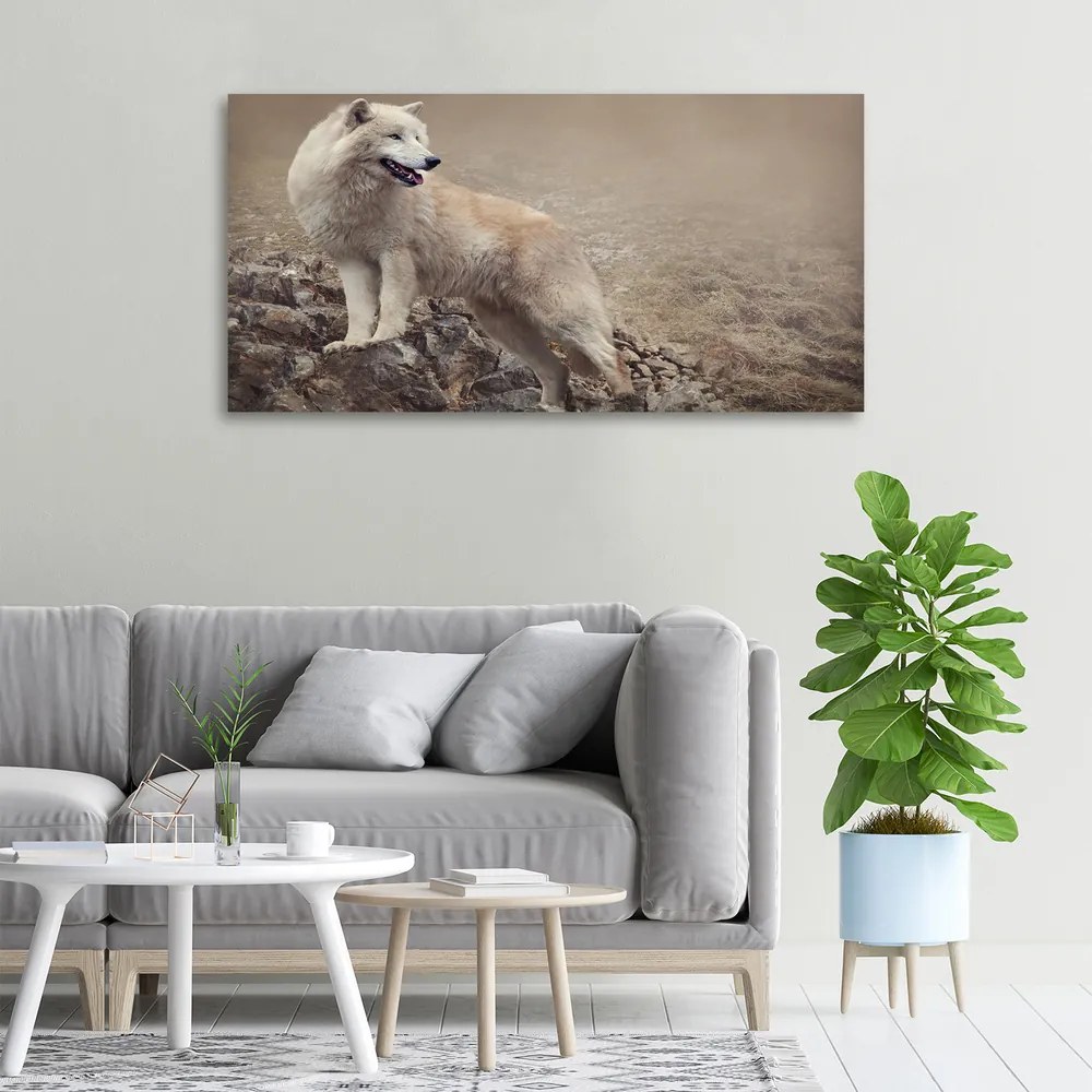 Tablou canvas Lup alb pe stâncă