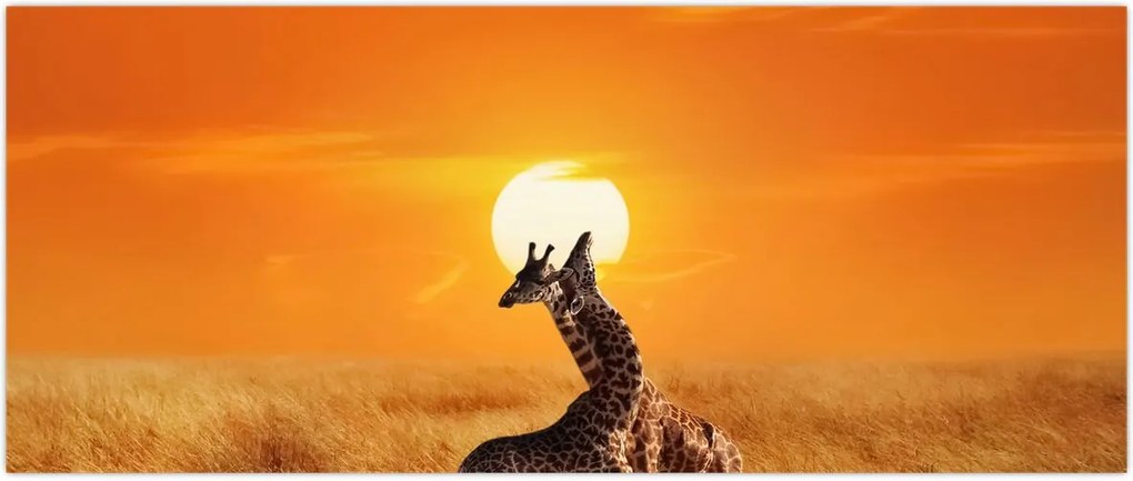 Tablou - Girafe în Parcul Național Serengeti (120x50 cm)