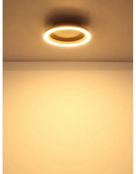 Globo 67356D - Plafonieră LED DAKARI I LED/12W/230V, lumină caldă 3000K, Ø 20,5 cm