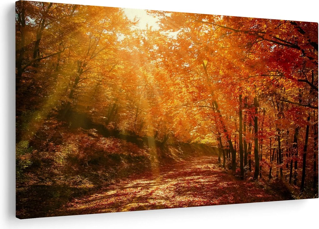 Tablou cu pădurea în toamnă (90x60 cm)