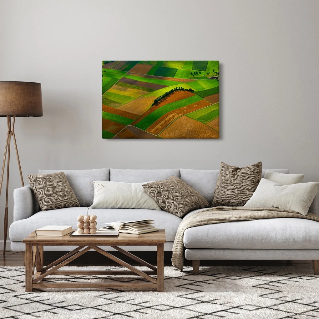 Tablou - Lan, luncile (90x60 cm)