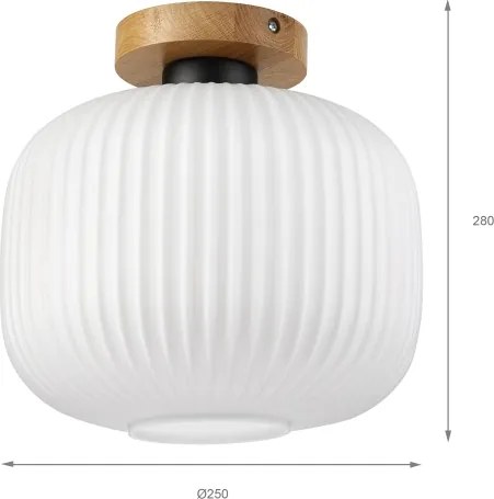Plafonieră HARMA WOOD 1xE27/15W/230V, stejar/alb, Ø 25 cm