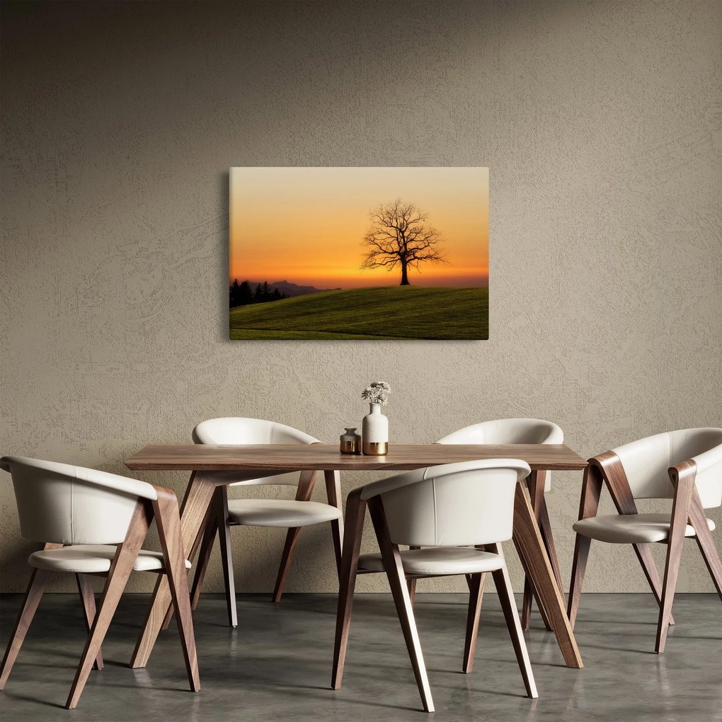 Tablou cu apus de soare pe o luncă (90x60 cm)