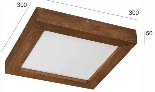 Plafonieră LED dimabilă Brilagi WOODY FRAME LED/24W/230V stejar 30x30 cm IP44 + telecomandă