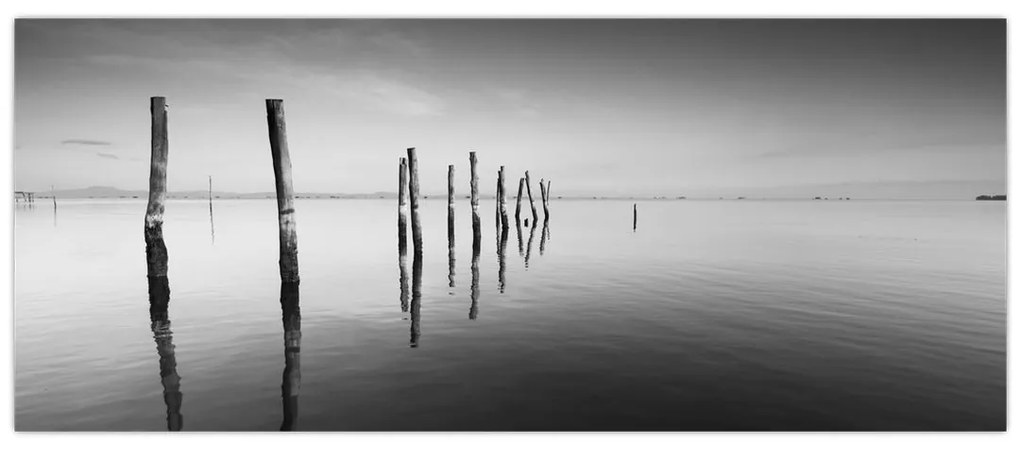 Tablou cu nivelul de lac alb negru (120x50 cm)