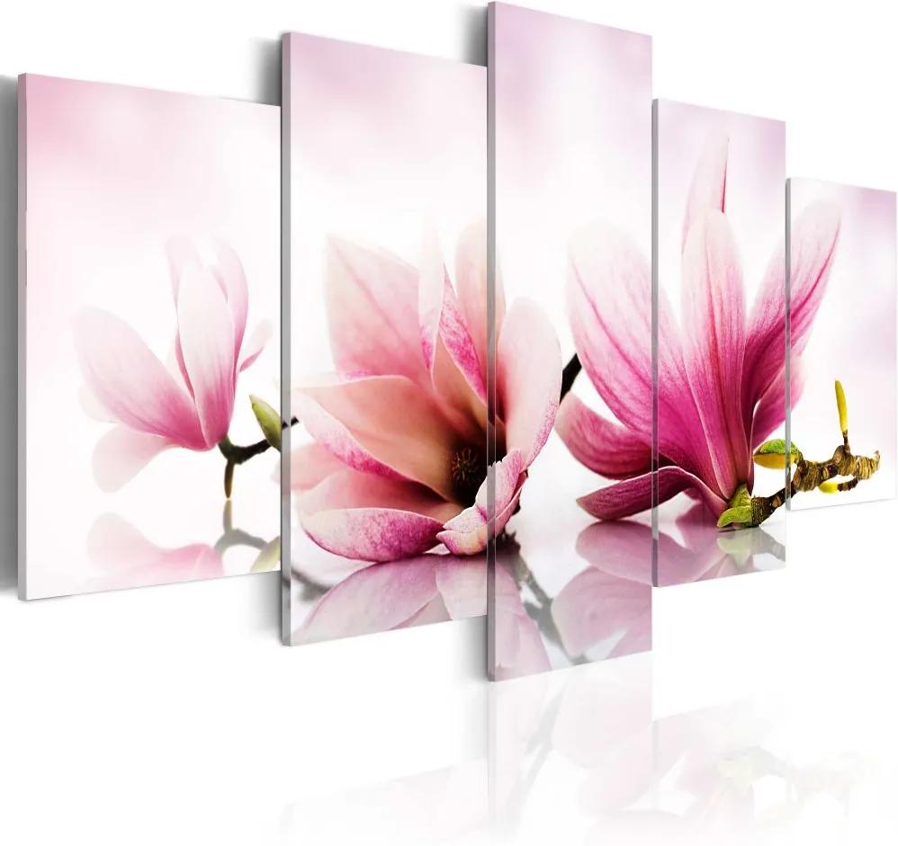 Tablou Bimago - Magnolias: pink flowers 100x50 cm