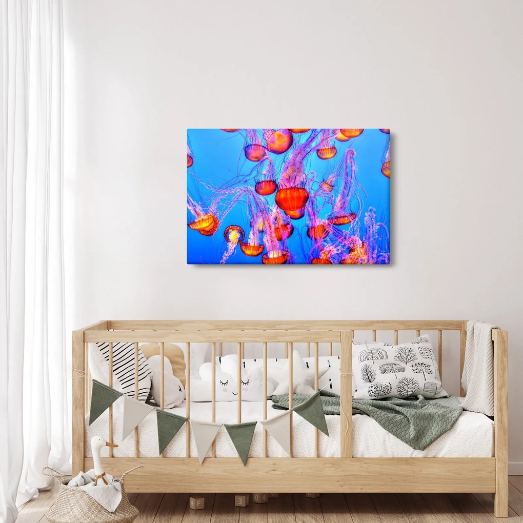 Tablou cu meduse în mare (90x60 cm)