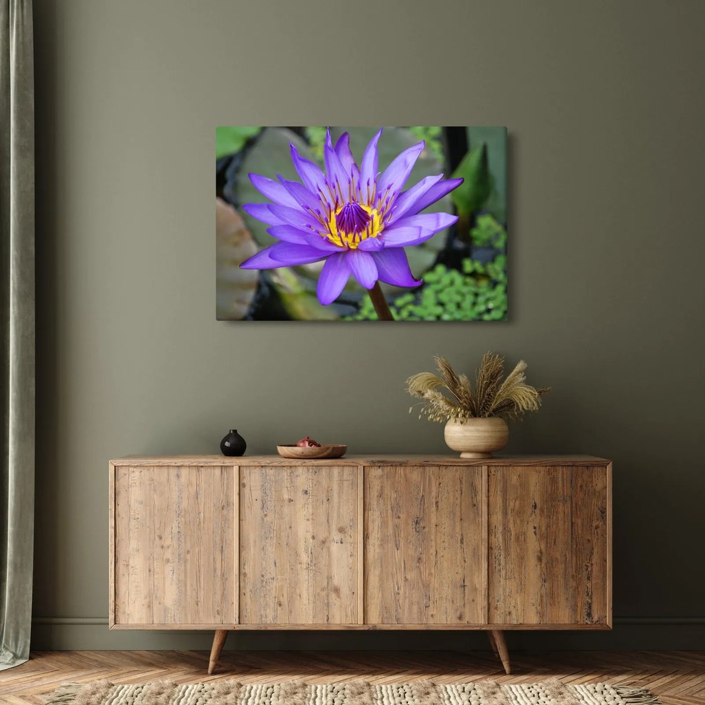 Tablou - Floare violet (90x60 cm)