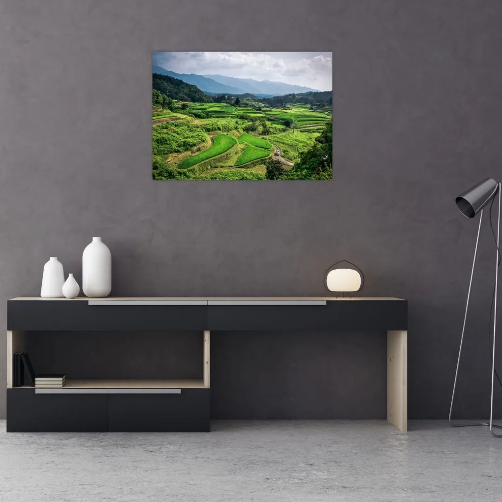 Tablou cu câmp de orez (70x50 cm)