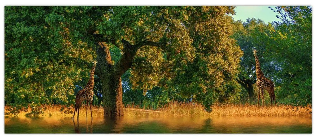 Tablou cu girafe în natură (120x50 cm)