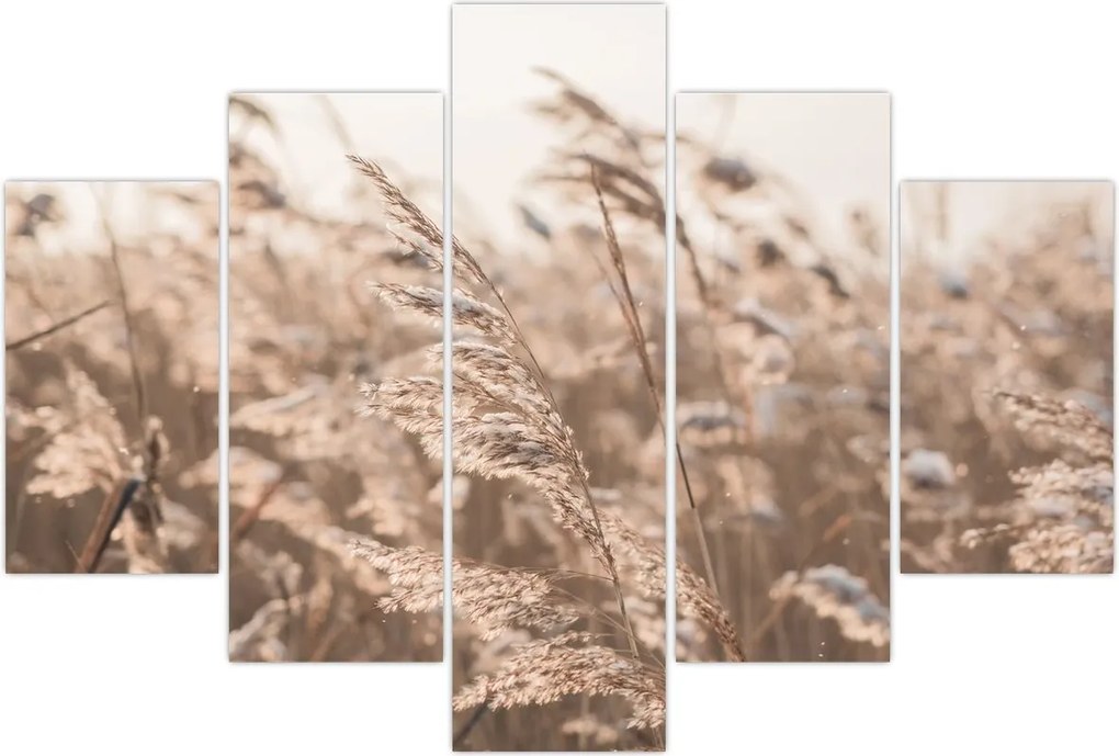 Tablou - Adiere de luncă (150x105 cm)
