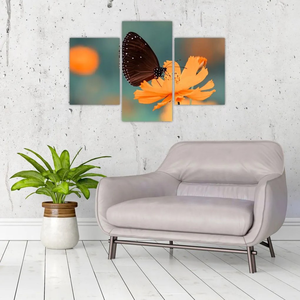 Tablou - fluture pe o floare portocalie (90x60 cm)