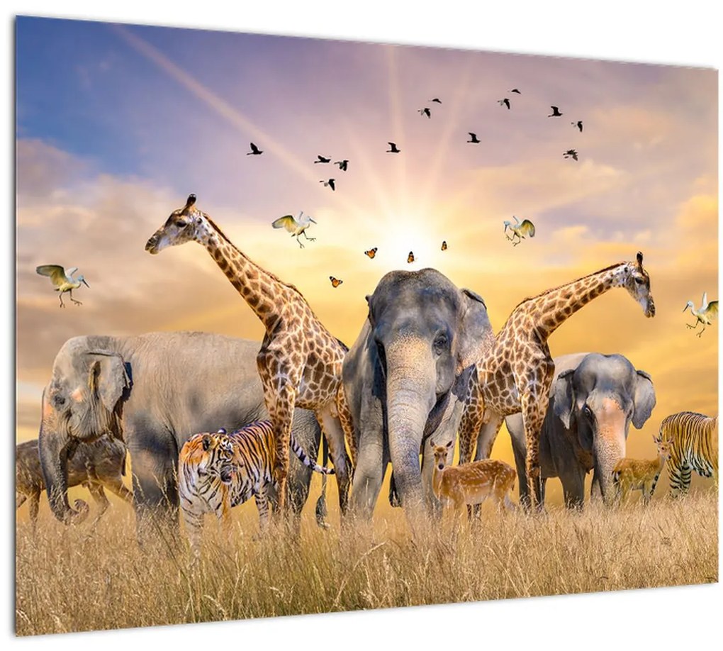 Tablou pe sticlă - Animae din Africa (70x50 cm)