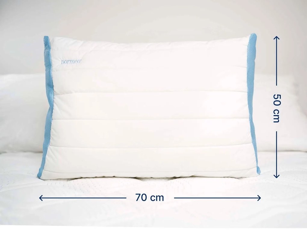 2xDORMEO MEMOSAN PILLOW CLASSIC HC4 50X70
