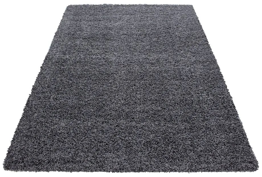 Covor gri închis 120x170 cm Life – Ayyildiz Carpets