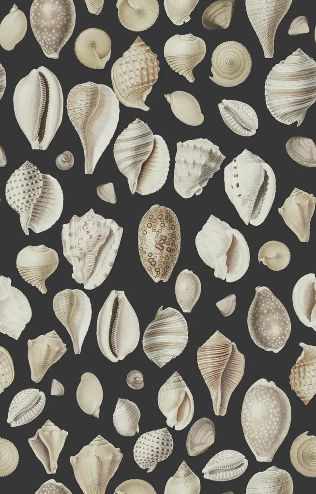 Tapet Ocean Shells, Graphite, Rebel Walls