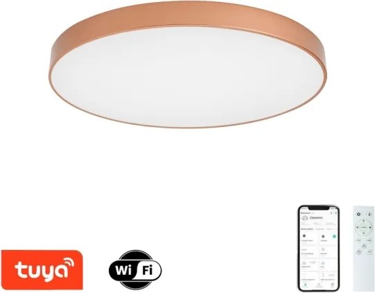Brilagi-LED Lampă dimabilă pentru piscină POOL SMART LED/100W/230V 80 cm Wi‑Fi Tuya bronz+ cu telecomandă