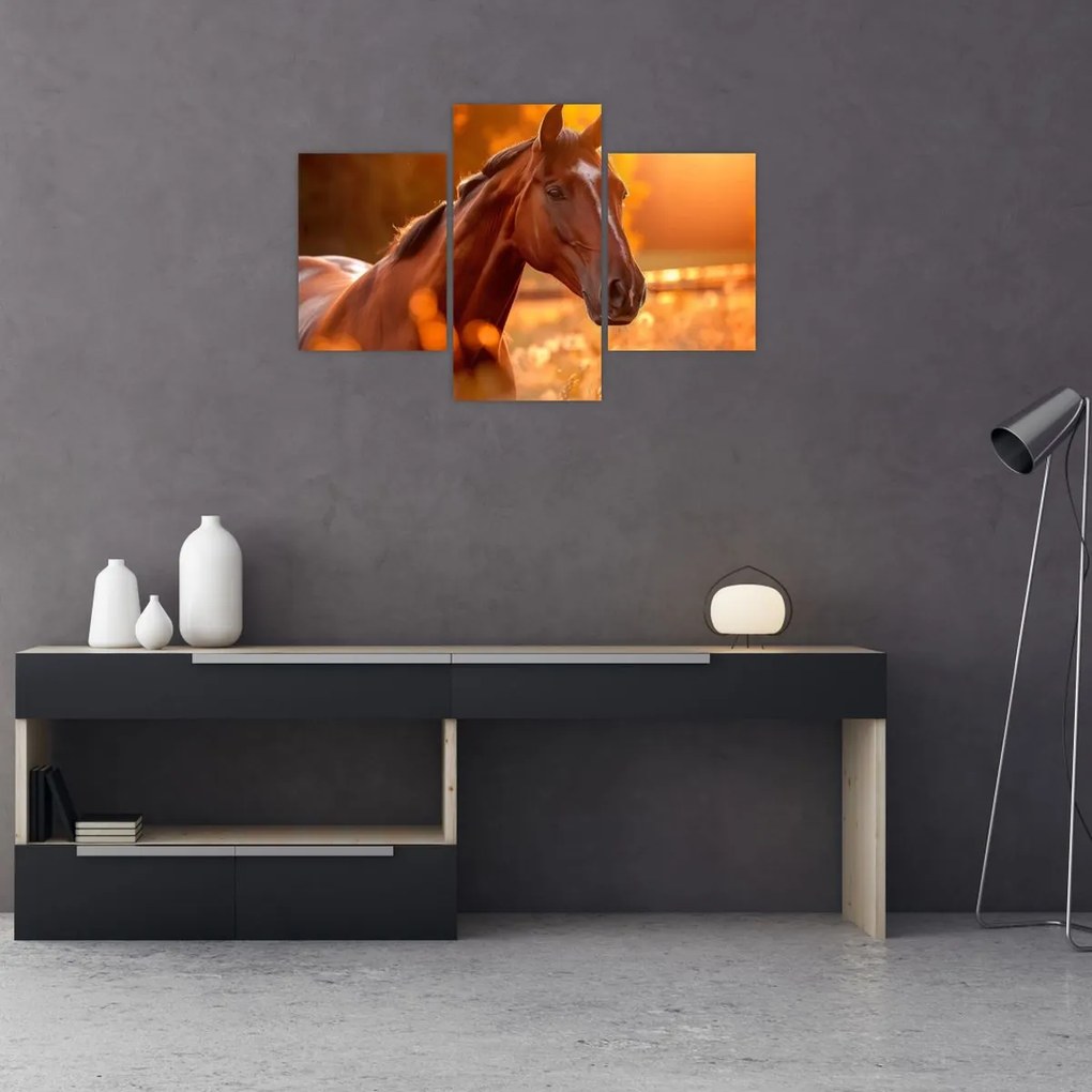 Tablou - Cal în apus de soare (90x60 cm)