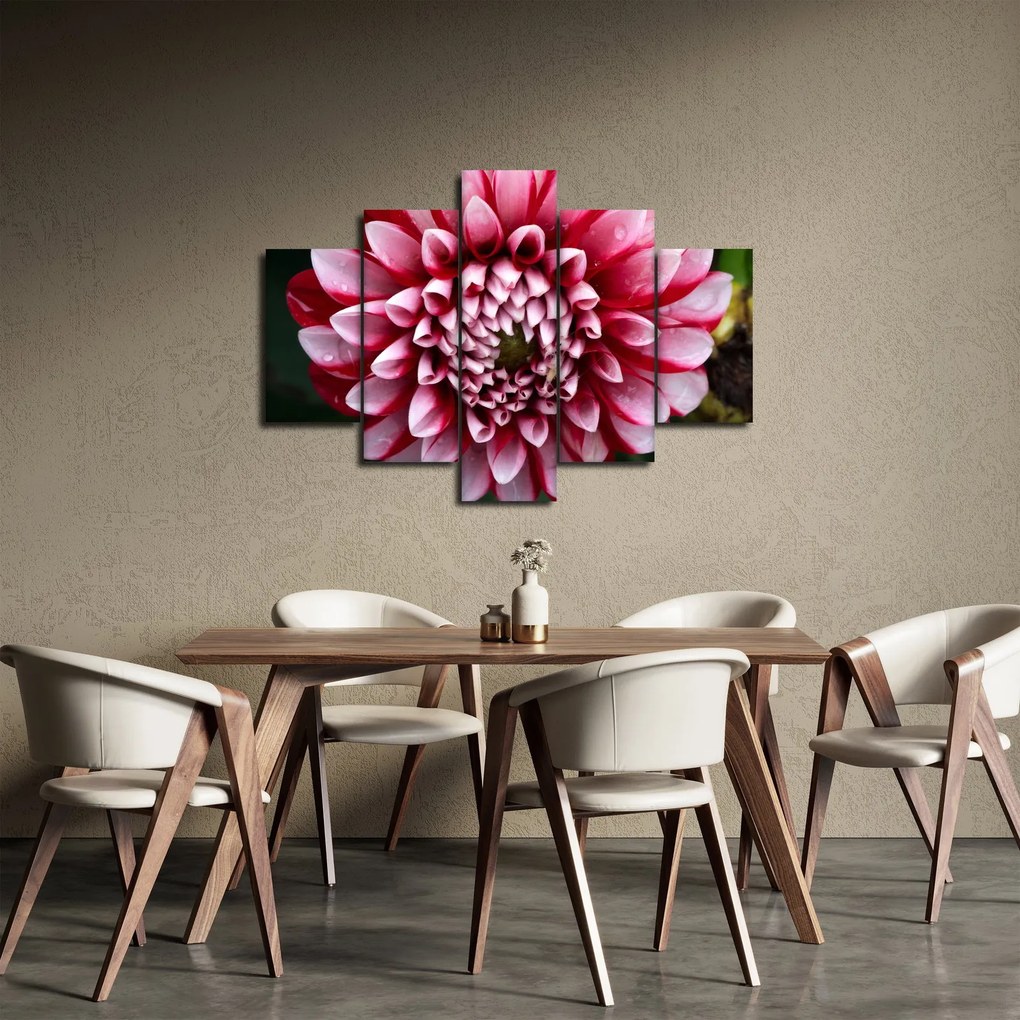 Tablou cu dalie roz (150x105 cm)