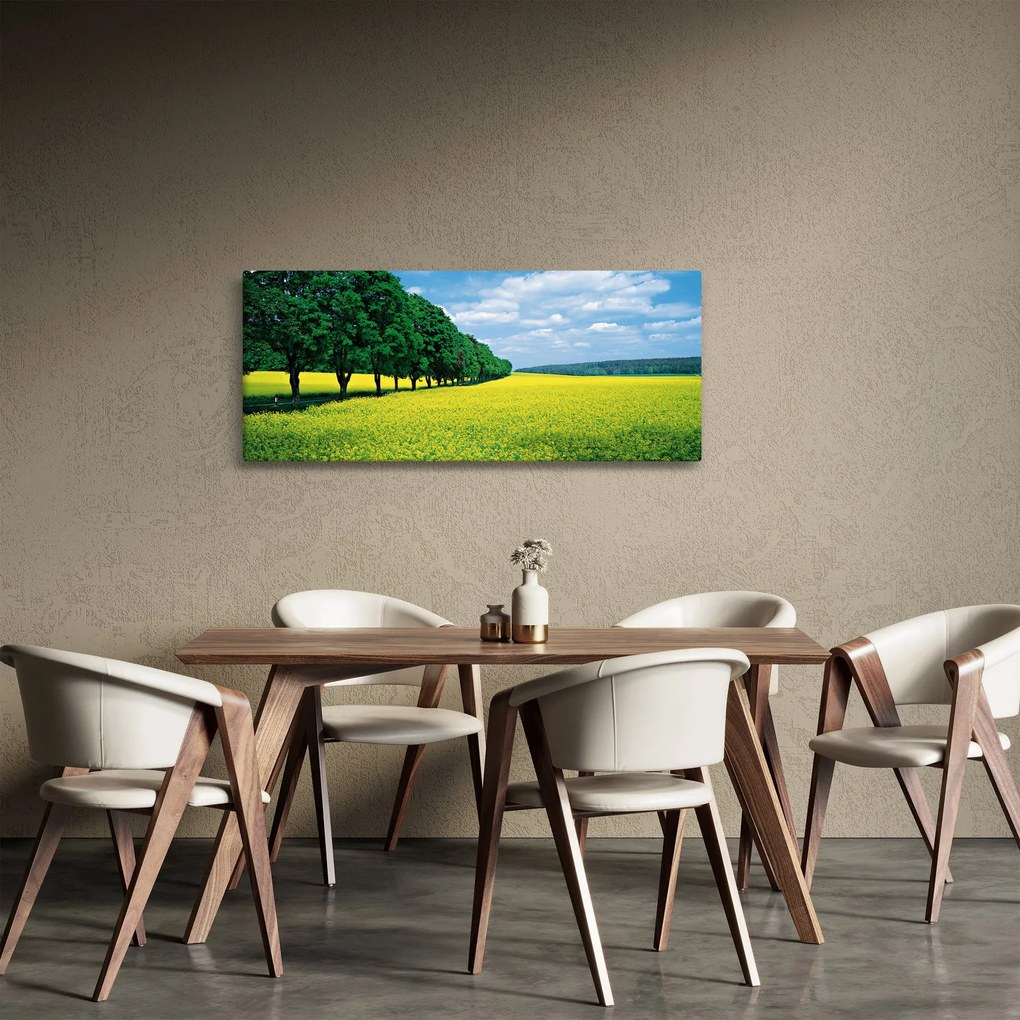 Tablou - Câmp cu alei (120x50 cm)