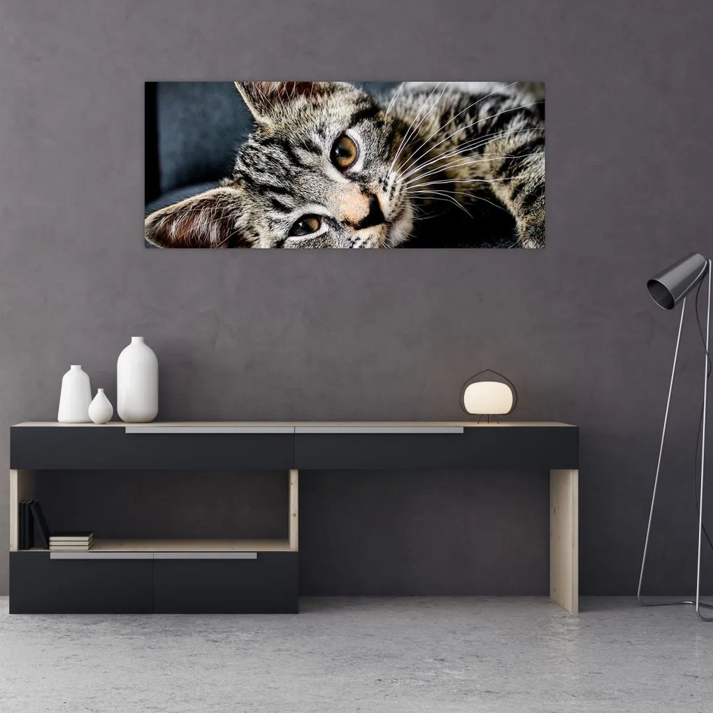 Tablou - Pisoi (120x50 cm)