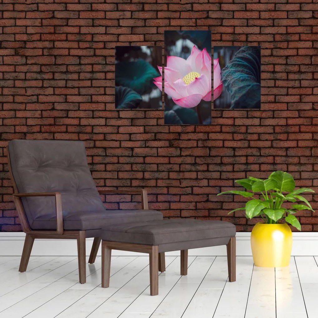 Tablou cu floare roz (90x60 cm)