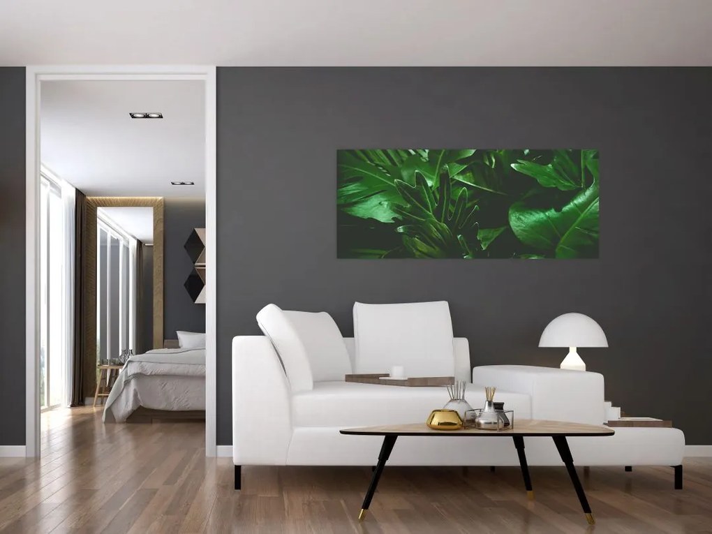 Tablou - Frunze de palmier (120x50 cm)