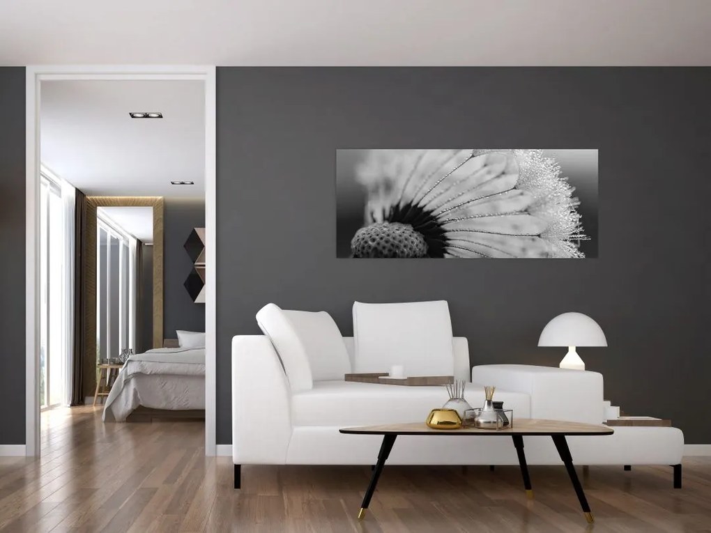 Tablou cu păpădie - albnegru (120x50 cm)