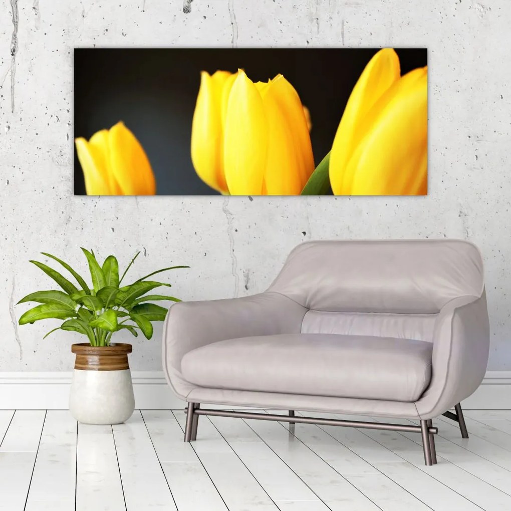 Tablou cu lalele (120x50 cm)