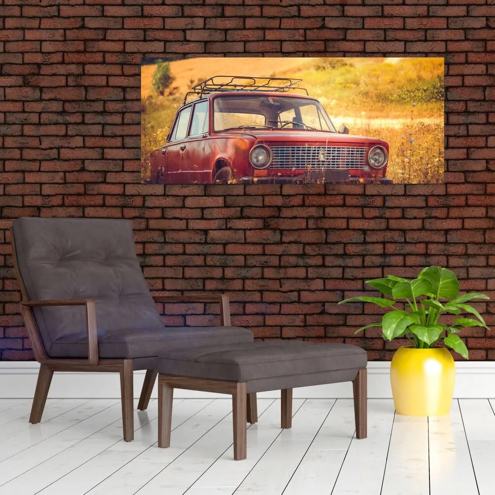 Tablou cu mașină în câmp (120x50 cm)