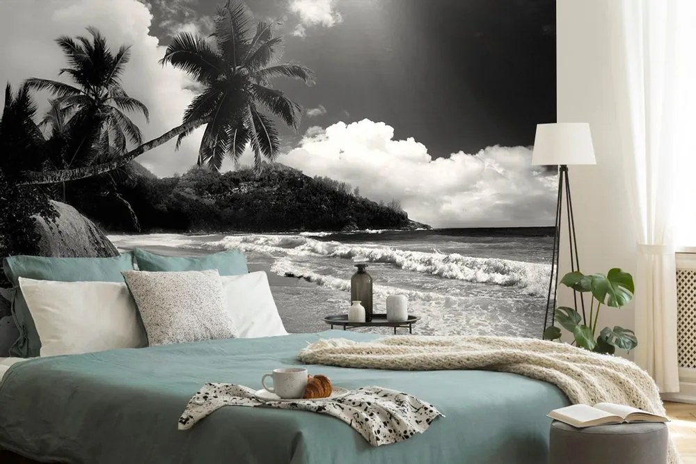 Fototapet plajă pe insula Seychelles în alb-negru