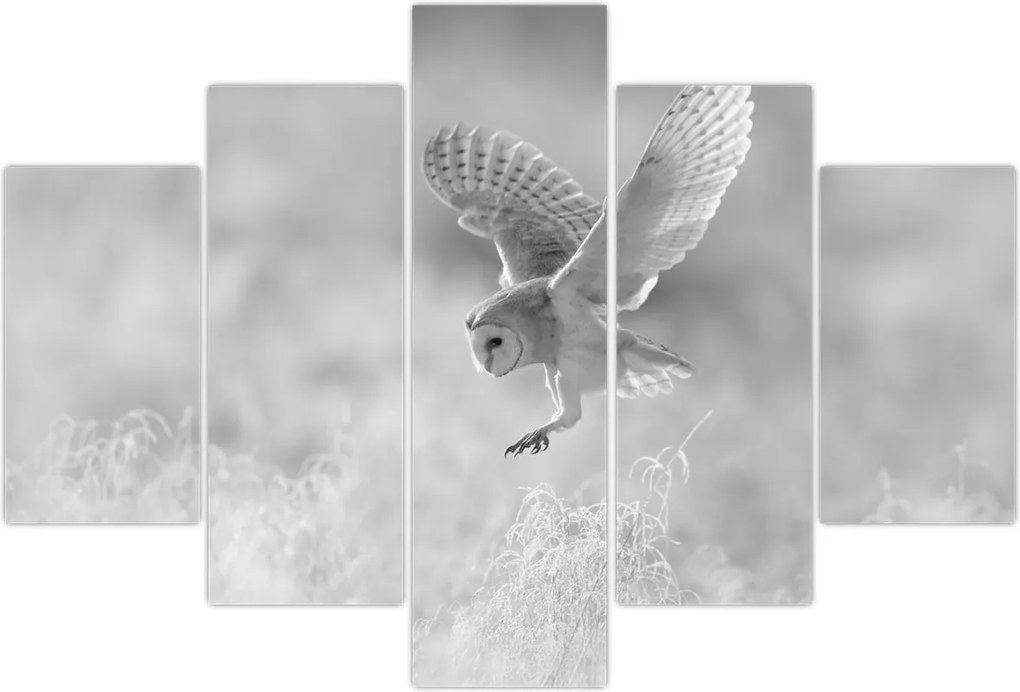 Tablou - Bufniță în câmp (150x105 cm)