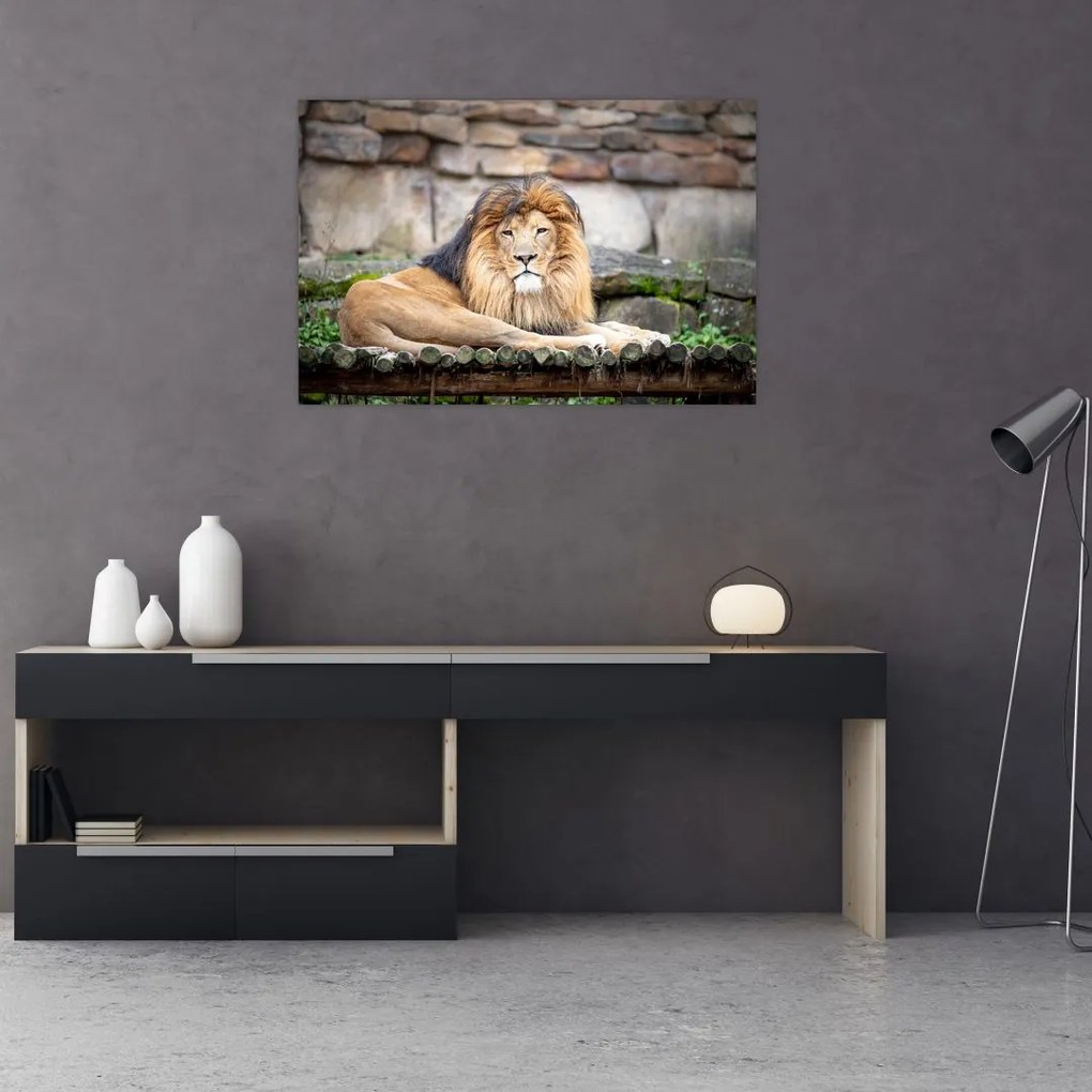 Tablou cu leu (90x60 cm)