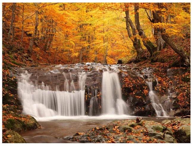Fototapet - Autumn landscape : waterfall in forest