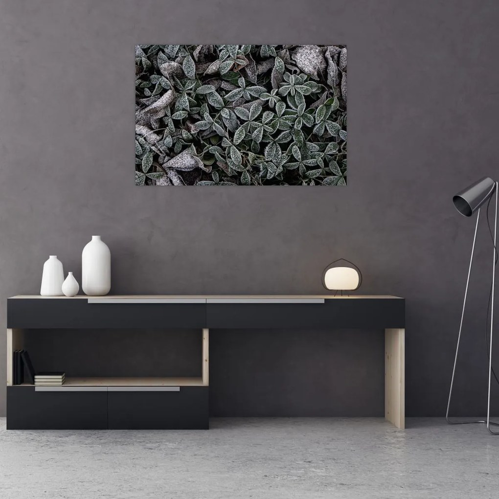 Tablou - Plante înghețate (90x60 cm)