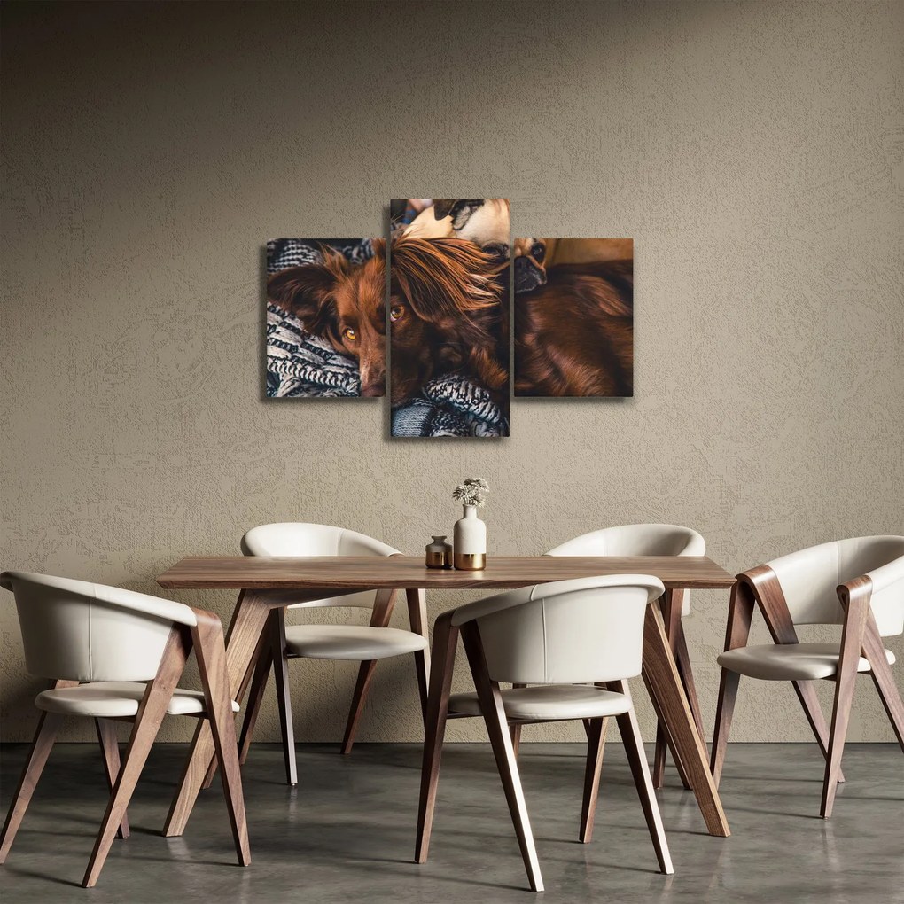 Tablou cu câini dormind (90x60 cm)