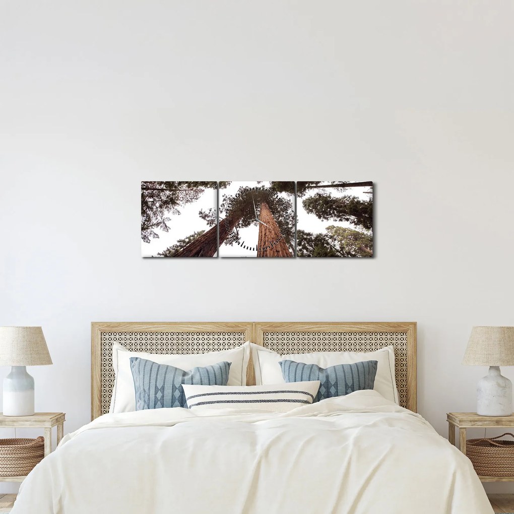 Tablou - Privire prin vârfurile copacilor (cu ceas) (90x30 cm)