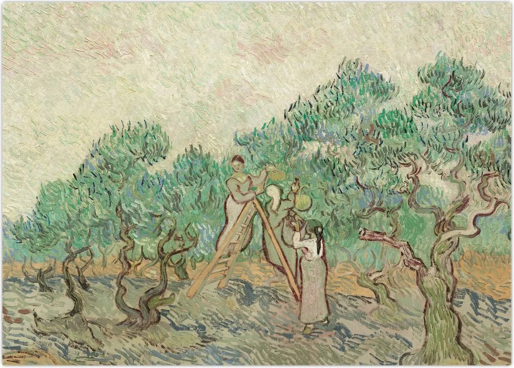 Tablou - Vincent van Gogh, The Olive Orchard, reproducere (70x50 cm)