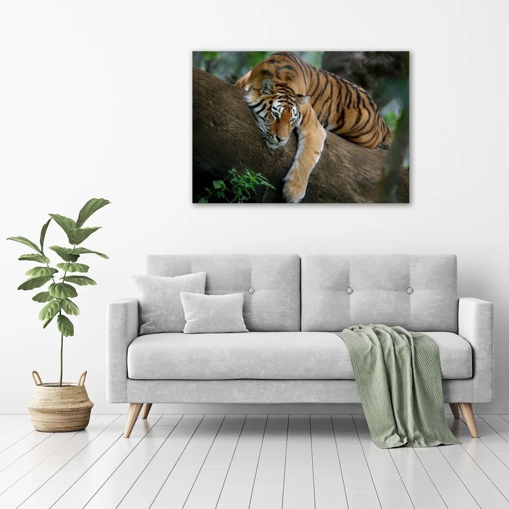 Print pe pânză Tiger pe un copac
