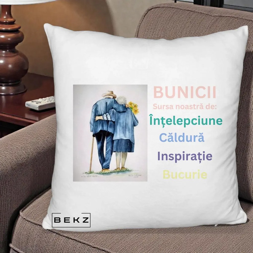 Cadou pentru Bunici - Perna Personalizata Bunicii Sursa Intelepciune Caldura Acuarela, 40x40 cm, Alb Pufos, Husa Detasabila, Perna Inclusa, BEKZ®