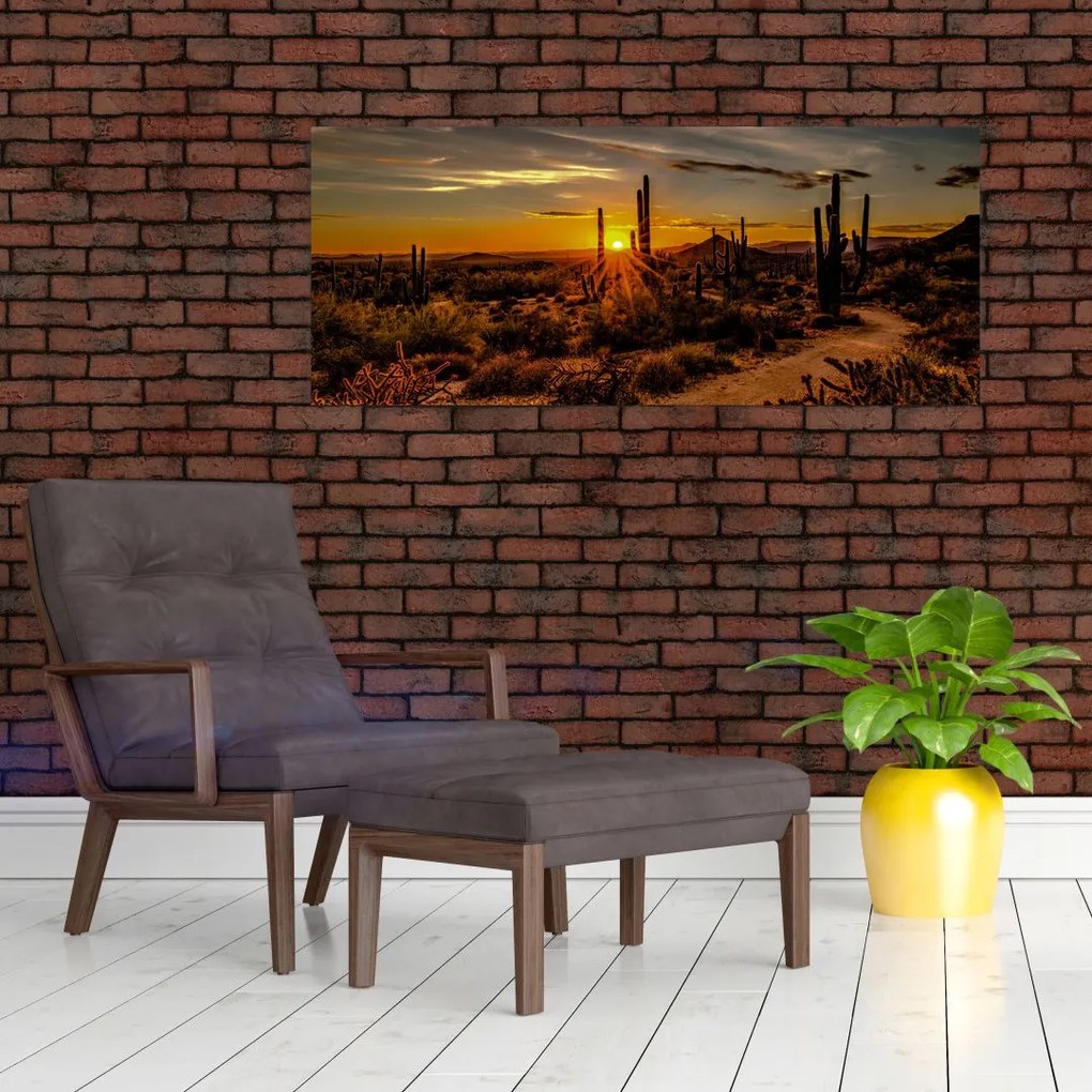 Tablou - Sfărșit de zi în deșertul Arizona (120x50 cm)