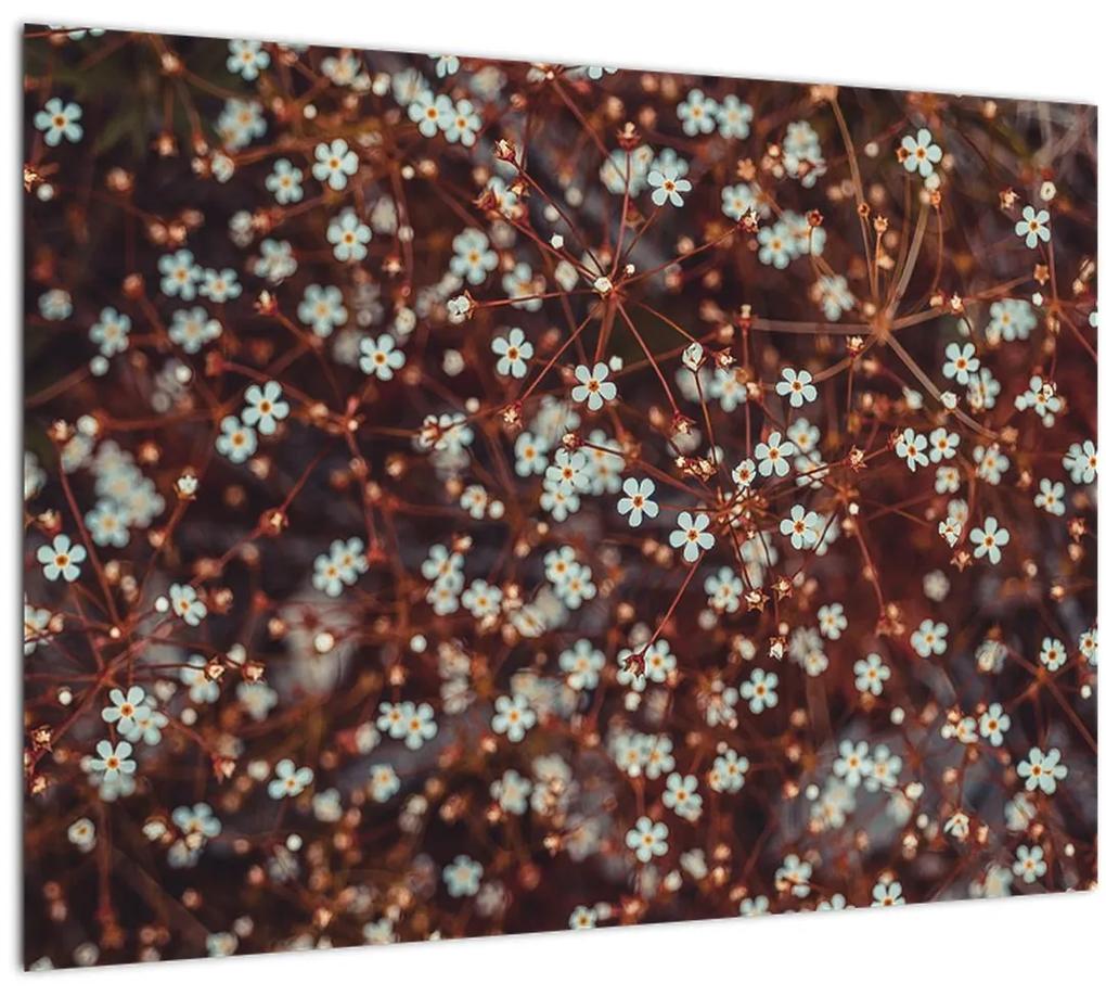 Tablou cu floare de nu mă uita (70x50 cm), în 40 de alte dimensiuni noi
