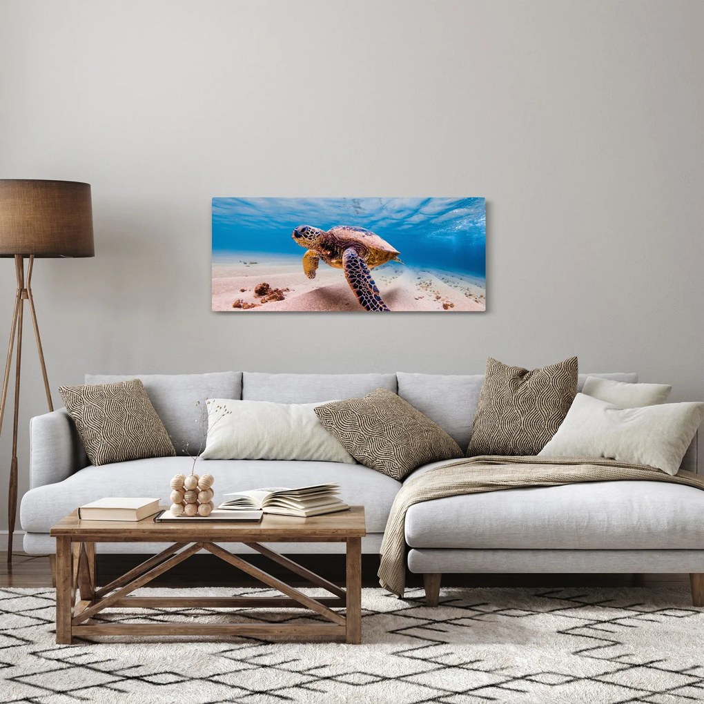 Tablou - Broasca țesstoasă (120x50 cm)