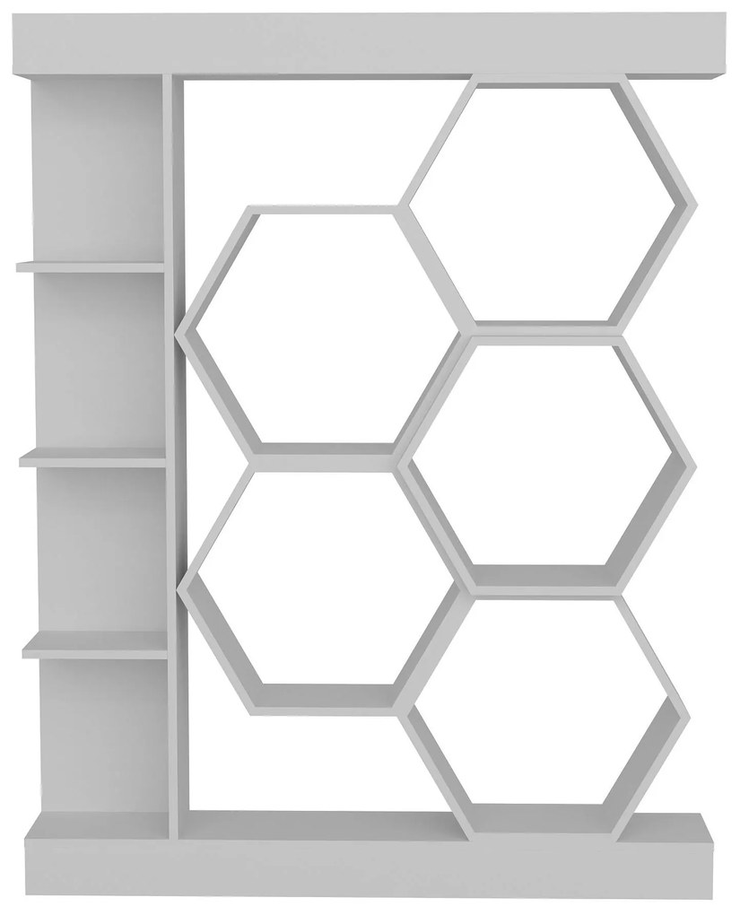 Raft Salix (Alb) . 1102596